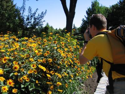 Jardin botanique, juillet 2005