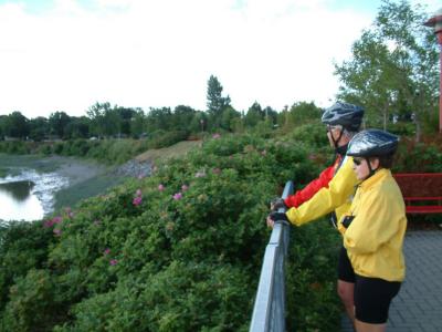 v3/39/514539/3/48064523.Image00017.jpg