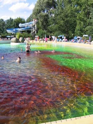 colored swimming pool