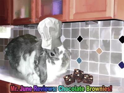 Wally Reviews Chocolate Brownies!