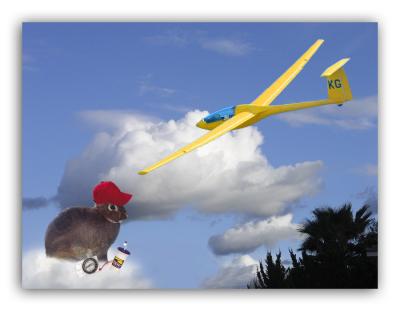 Beezer - My Dad Flies Gliders!
