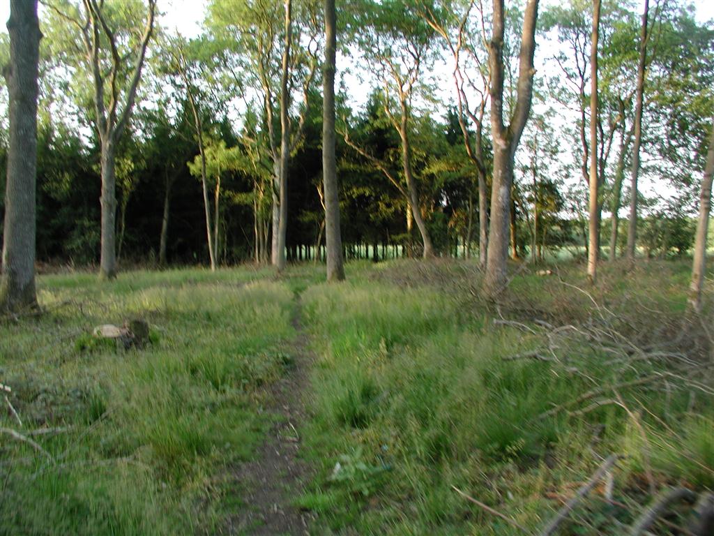 footpath thru woods nr keepers cottage