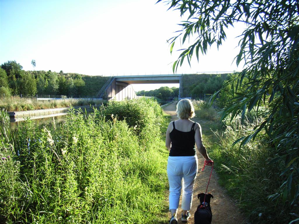 Towards the new A34 bridge
