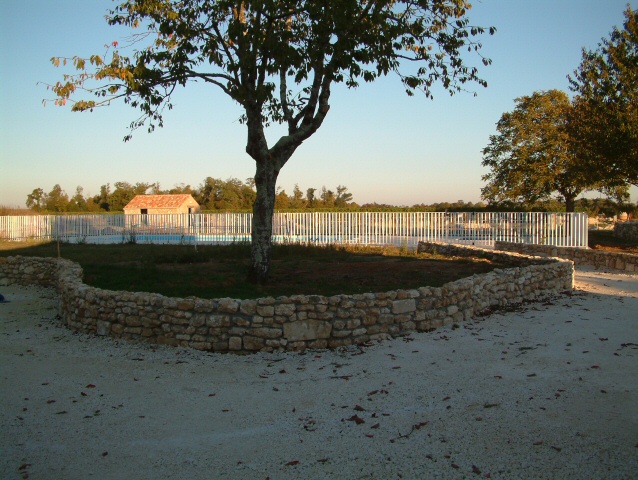 DSCF0024.JPG