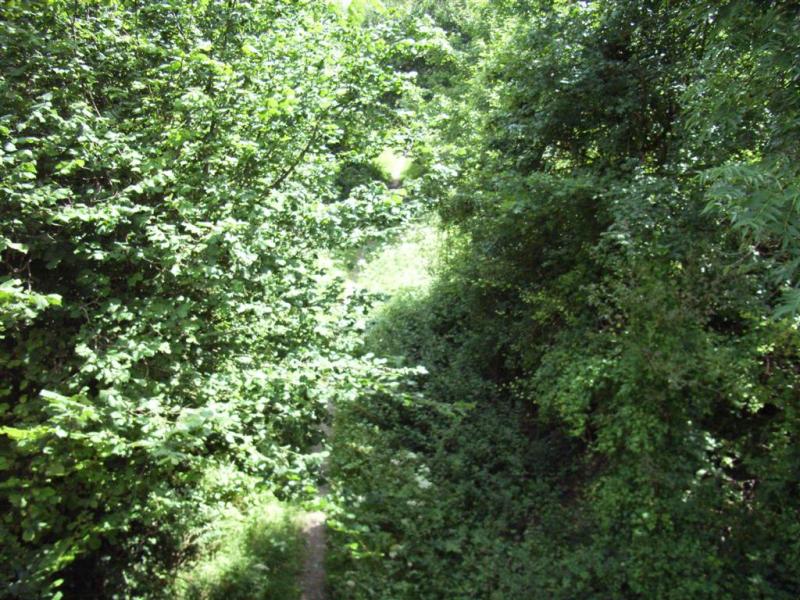 Looking down from the bridge, where the old line used to be