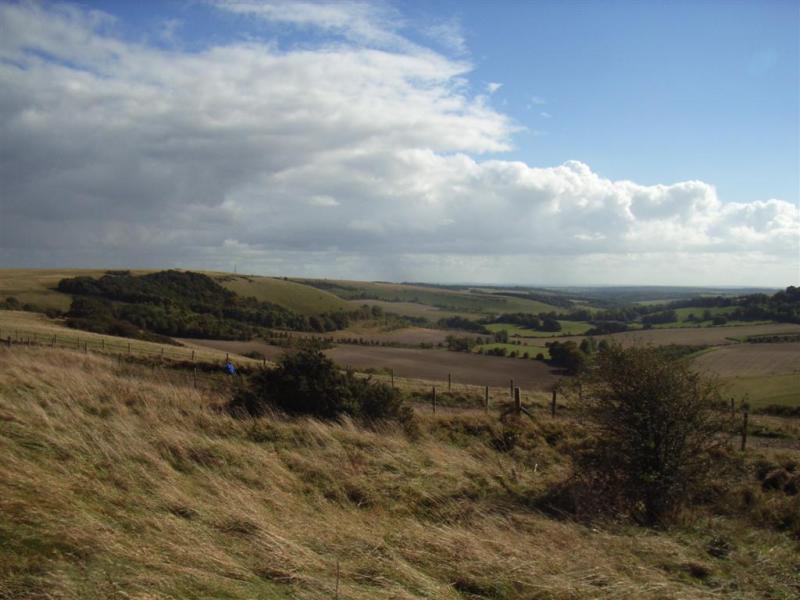 views from Combe, where the trees meet in the middle is where were heading