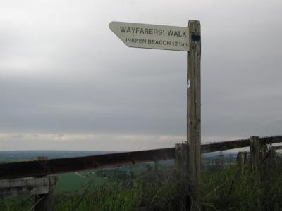 Wayfarers walk - Kingsclere downs