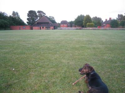 Looking back at village hall from football pitch