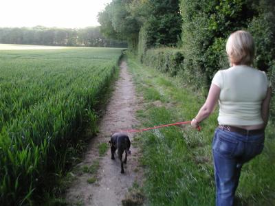 footpath from footbal pitch towards cowhouse farm