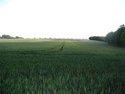 Looking up towards white hill from footpath