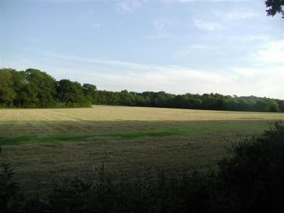 Clearing the otherside of the woods - towards white hill