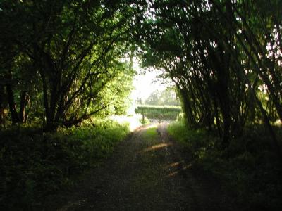 end of footpath onto road