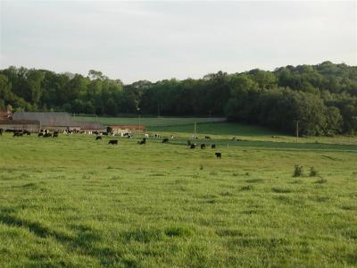 looking towards farm from road