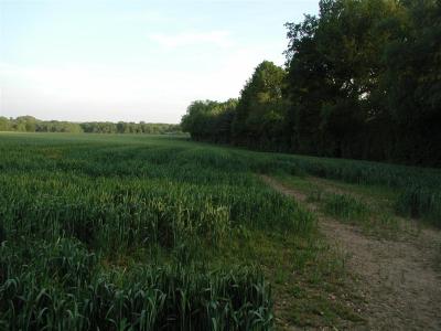 this is where the footpath comes out of the woods - looking towards keepers cottage