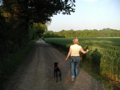 the track / footpath towards malthouse farm