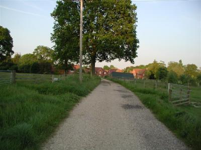 looking towards old palmers yard