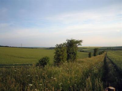 looking back along footpath