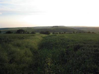 the downs