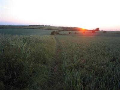 almost back - the row of spaced trees is the first path towards the mast