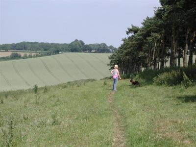 Coronation Hill - Kingsclere