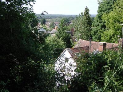 Looking over the 'dell' from footpath