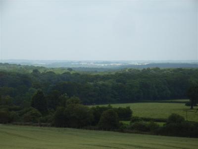 Greenham Common in the distance