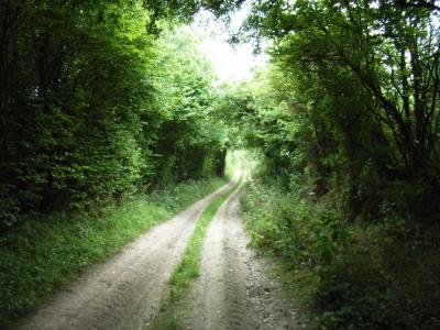 this leads towards old burghclere