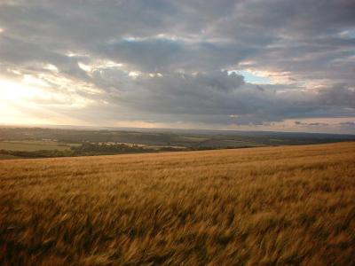 this is still wayfares walk - great litchfield down towards Newbury