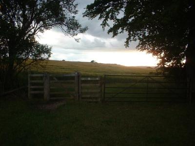 The gate from the footpath leading thu...