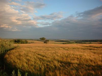 looking towards hare warren down