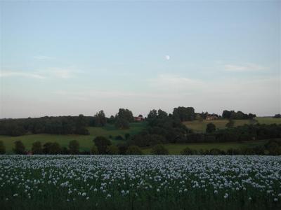 nutthanger farm from white hill