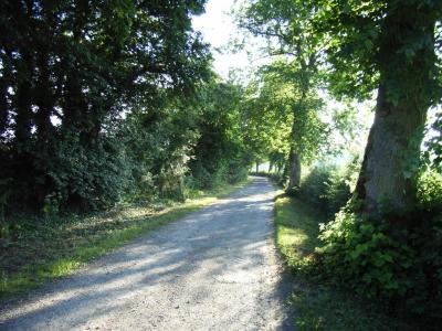 Turning right up the footpath / track towards watership farm