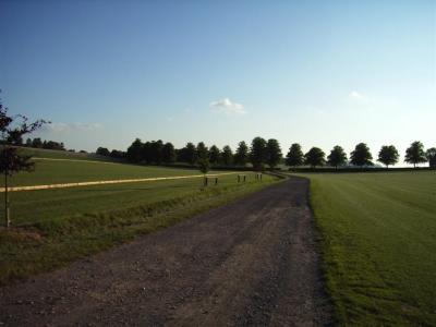 past farm and past polo field