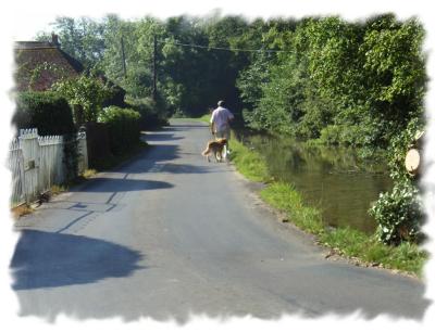 Ecchinswell river, August 2005