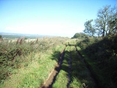 this was just past the footpath cross rds but not a very good path so turned back and went left