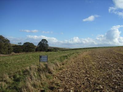 v3/39/7239/3/49858362.Coombegibbet013Large.jpg