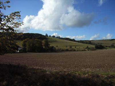 v3/39/7239/3/49858385.Coombegibbet039Large.jpg