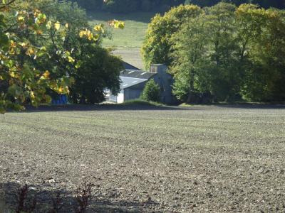 looking back towards Wrights farm buildings