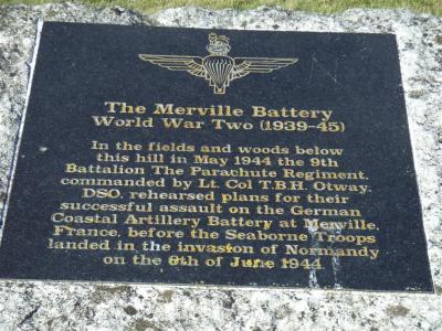 plaque
