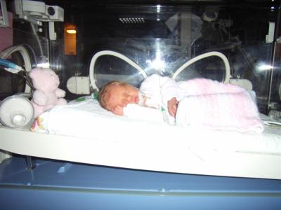 v3/39/7239/3/50392835.katie6days.jpg