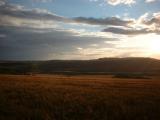 Looking towards beacon hill