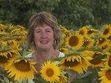 found her!!  Angela in the sunflowers