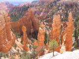 View from a Bryce Canyon overlook