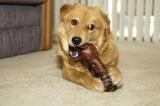 Riley-with-beef-bone-web.jpg