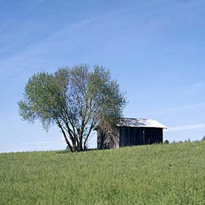 Shed July 2005