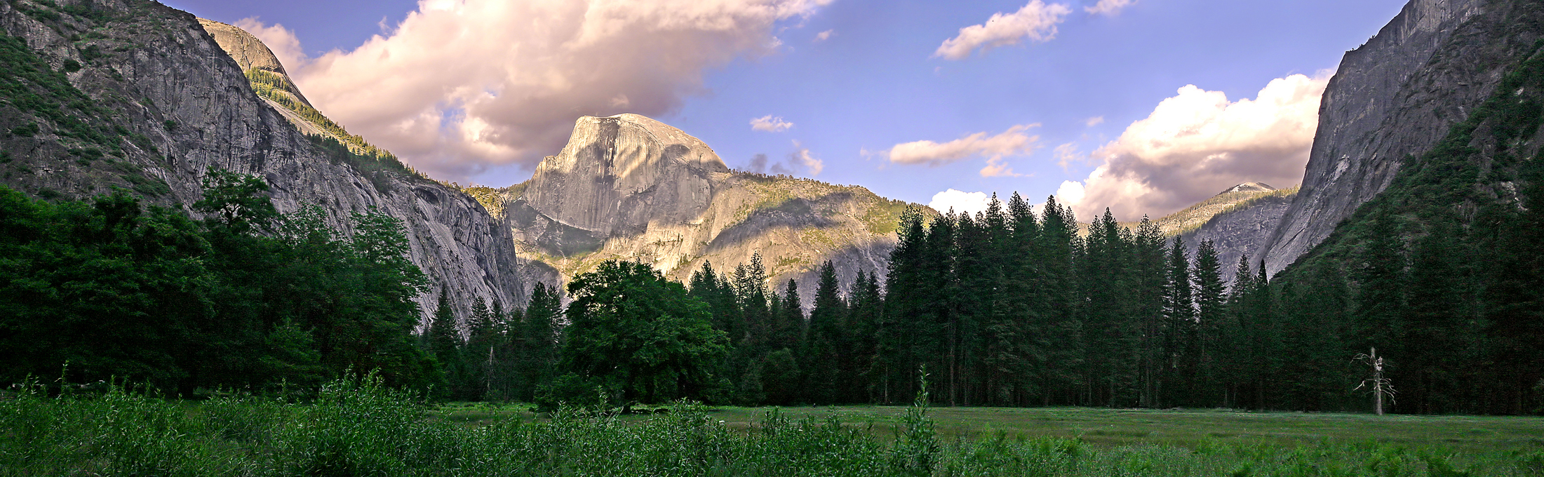 half dome from the field