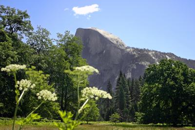 half dome from field 1