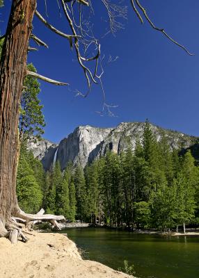 yosemite fall by the river 2