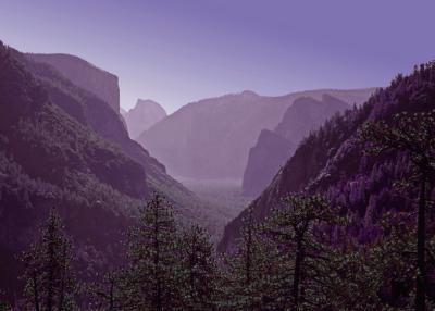 tunnel view filter