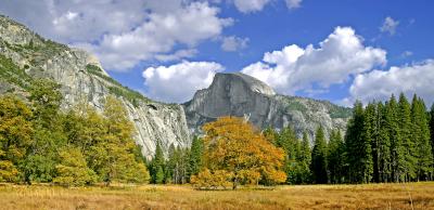 half dome fall colors